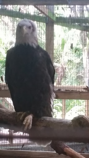 Nature Preserve «Calusa Nature Center & Planetarium», reviews and photos, 3450 Ortiz Ave, Fort Myers, FL 33905, USA