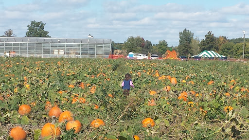 Produce Market «De Bruyn Produce», reviews and photos, 16500 Armada Center Rd, Armada, MI 48005, USA