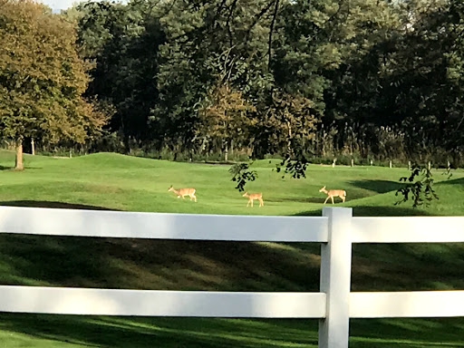 Golf Course «RiverWinds Golf & Tennis Club», reviews and photos, 270 Eagle Point Rd, West Deptford, NJ 08086, USA