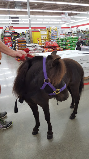 Home Improvement Store «Tractor Supply Co.», reviews and photos, 1415 Olney Ave SE, Port Orchard, WA 98366, USA