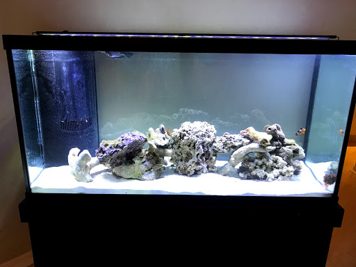 Tropical Fish Store «Fintastic Aquariums», reviews and photos, 3305 NW Main Ave, Jensen Beach, FL 34957, USA