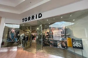 Torrid image