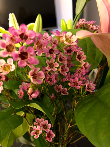 Florist «The Brown Palace Flower Shop», reviews and photos, 401 17th St, Denver, CO 80202, USA