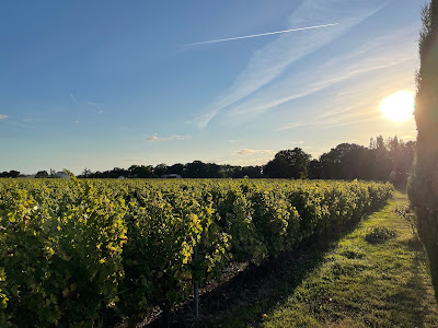 Domaine Du Haut Planty à Le Landreau