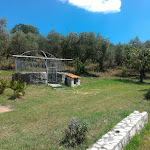 Photo n°29 de l'avis de Alfonso.e fait le 13/08/2018 à 16:59 sur le  Azienda Agrituristica La Rocca Degli Ulivi à Sant'Angelo a Fasanella
