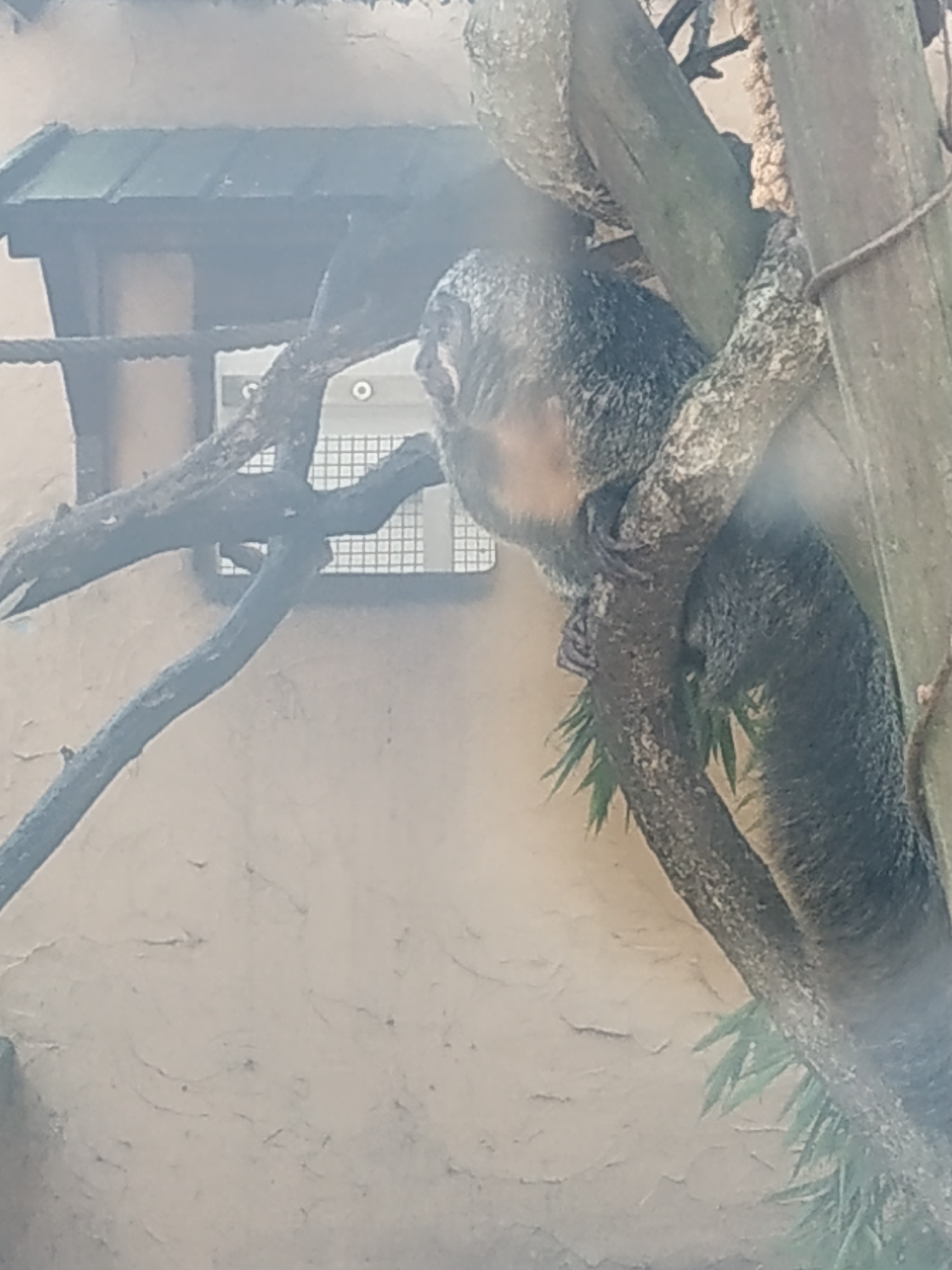 Photo n° 4 de l'avis de VENUS.A fait le 25/02/2019 à 17:52