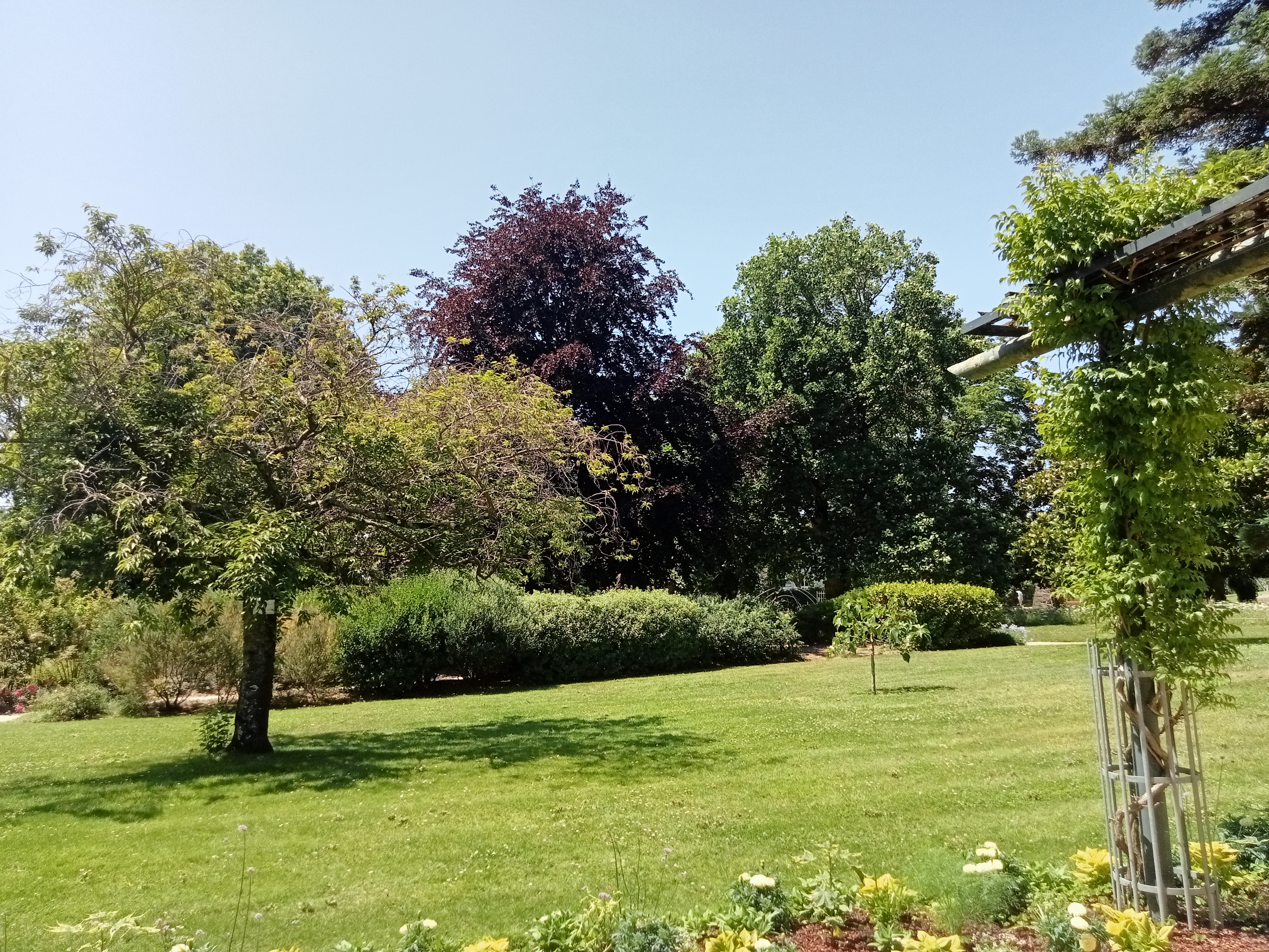 Photo n° 5 de l'avis de Lucienne.V fait le 29/06/2023 à 14:26