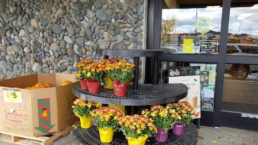 Grocery Store «Quality Food Center», reviews and photos, 1009 Monroe Ave, Enumclaw, WA 98022, USA