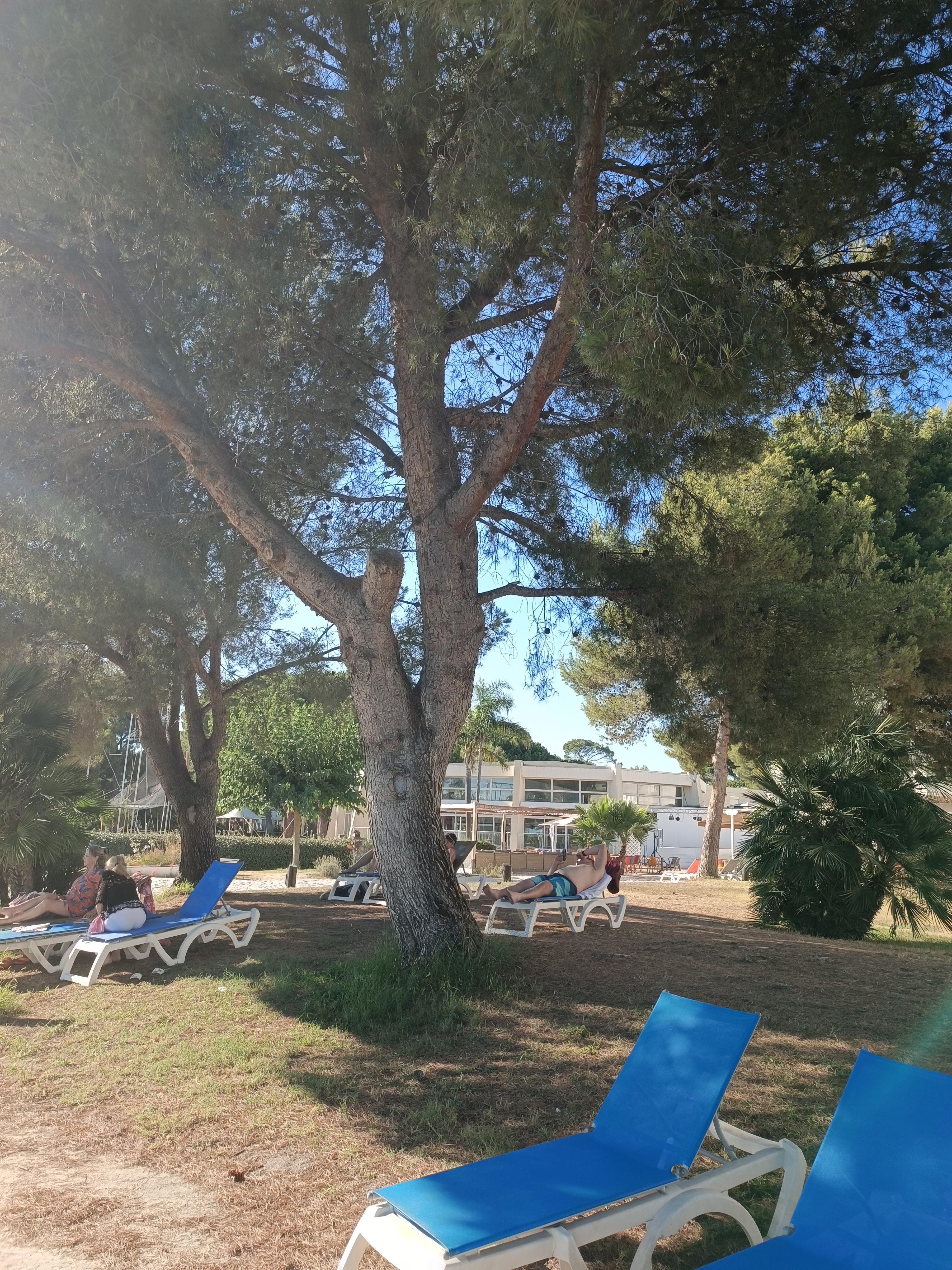 Photo n° 1 de l'avis de Christophe.a fait le 28/07/2023 à 19:29