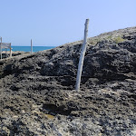 Photo n°5 de l'avis de Dennis.l fait le 16/08/2022 à 17:11 sur le  Camping Residence Villaggio San Michele - Vieste à Vieste