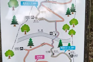 Nagaizumicho Forest Park image