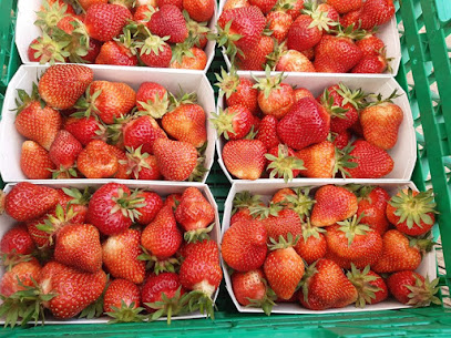 Hof Strahm Erdbeeren