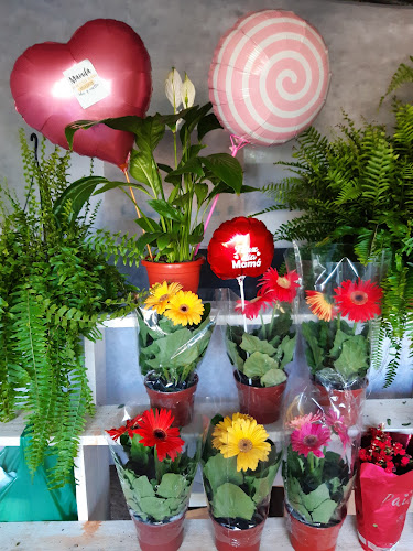 Ituzaingo 404, 41200 Vichadero, Departamento de Rivera