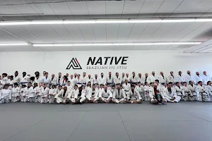 Native Jiu Jitsu image