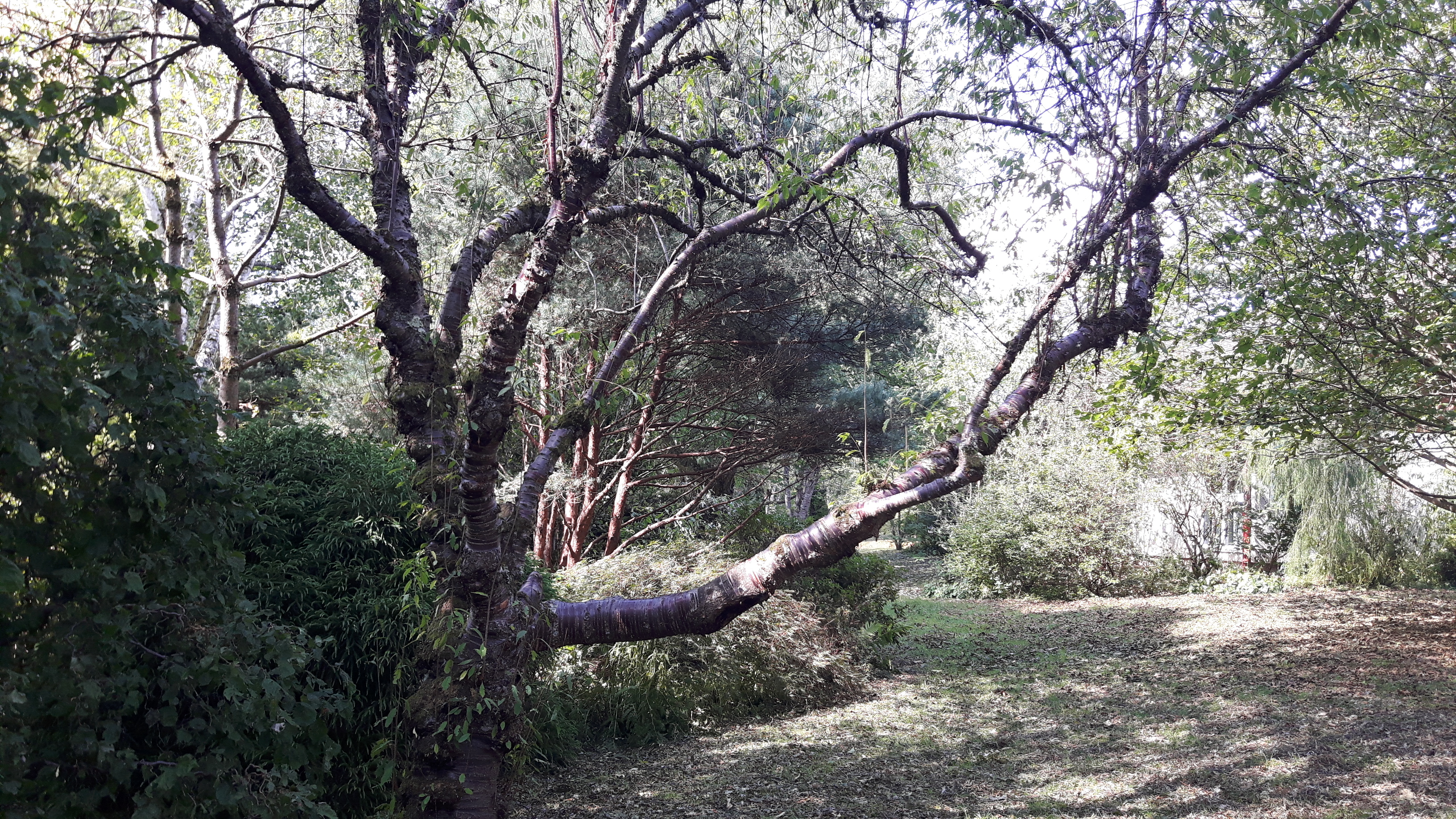 Photo n° 13 de l'avis de Alain.i fait le 24/07/2018 à 13:37