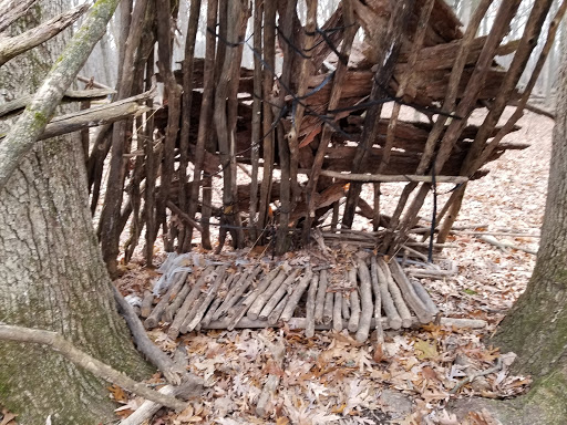 Nature Preserve «Arthur L. Janura Forest Preserve», reviews and photos, IL-58, Elgin, IL 60120, USA