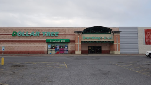 Dollar Store «Dollar Tree», reviews and photos, 2400 Boca Chica Blvd, Brownsville, TX 78521, USA