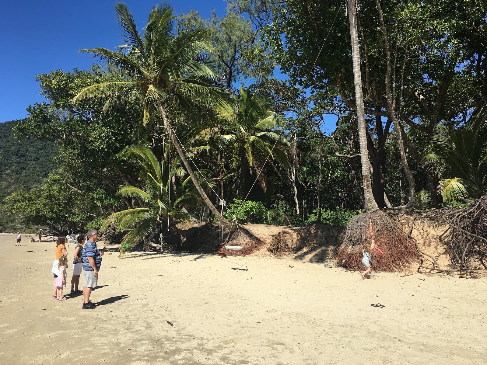 Cow Bay Beach photo #8