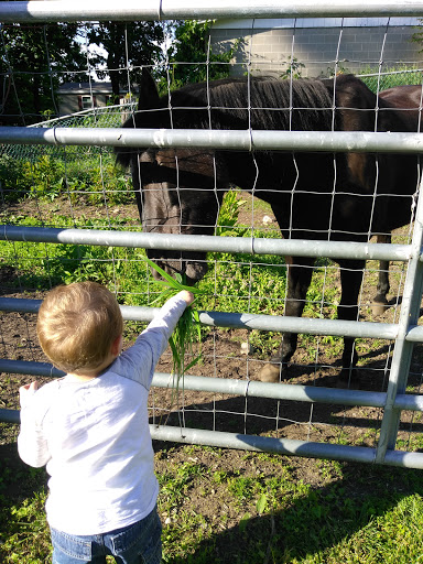 Farm «B & B Flower Farm», reviews and photos, 668 Jones Hill Rd, West Haven, CT 06516, USA