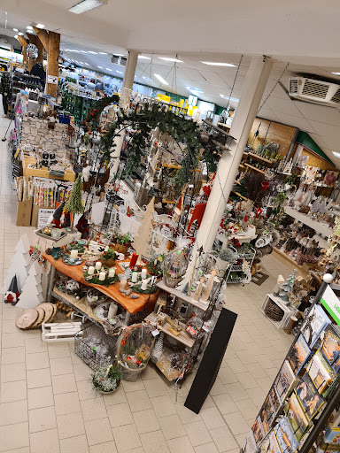 Kiebitzmarkt Dickebohm unter Bunde, 