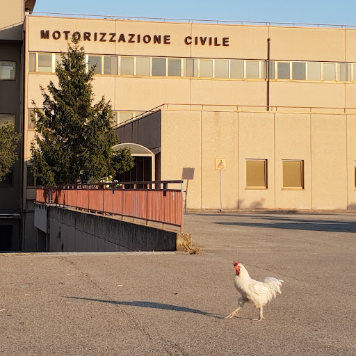 Dipartimento dei trasporti Firenze