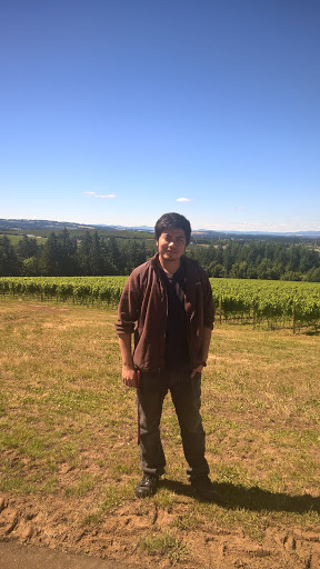 Vineyard «Ponzi Winery», reviews and photos, 19500 SW Mountain Home Rd, Sherwood, OR 97140, USA