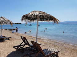 Foto von Thealos beach mit lange bucht