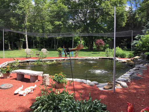 Pond Fish Supplier «The Funky Koi. Pet, Pond, Water Garden, Equine and Farm Supplies», reviews and photos, 41 Porter St, Berkley, MA 02779, USA