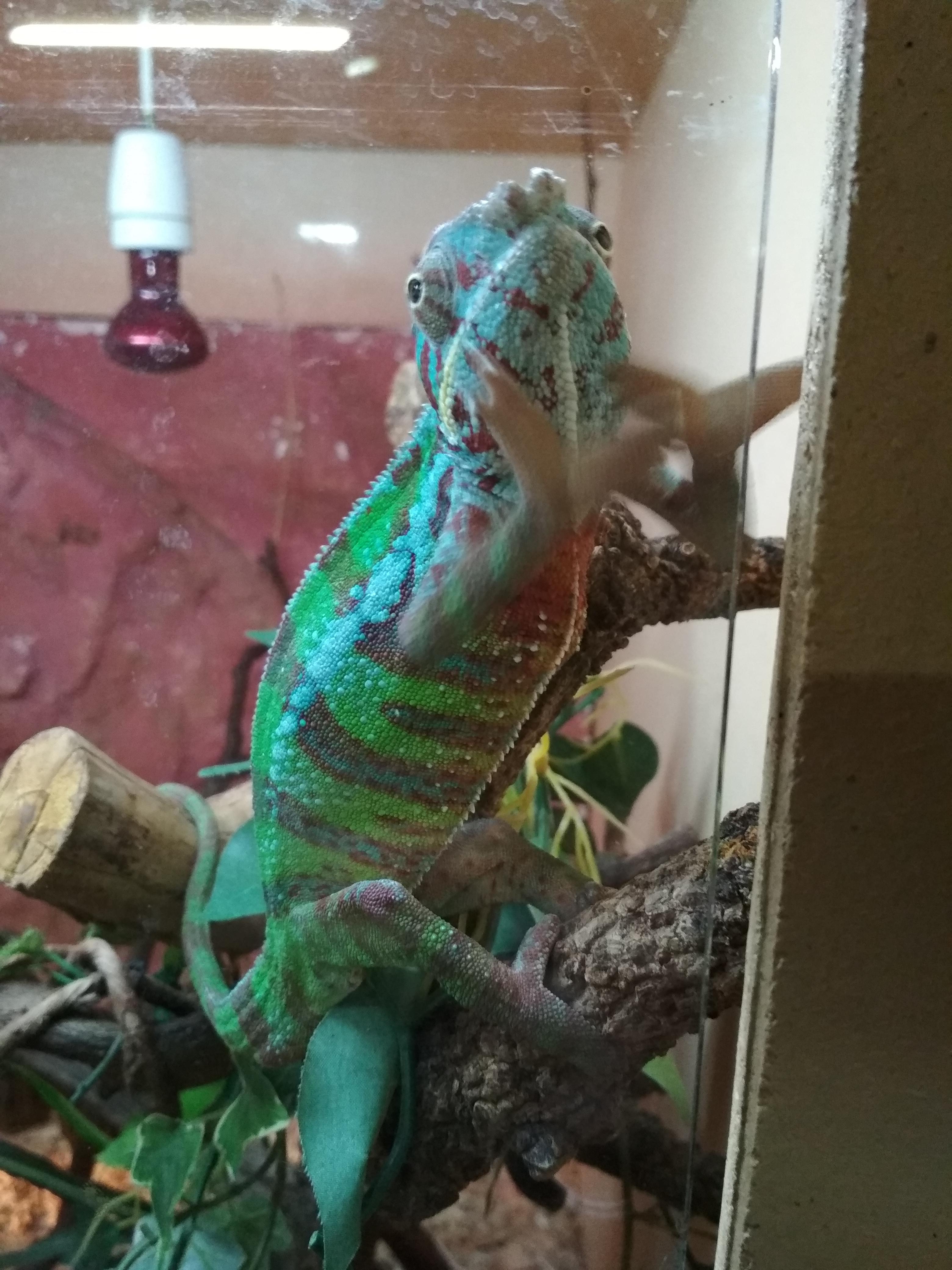 Photo n° 4 de l'avis de GpsGirl.r fait le 22/08/2020 à 12:49