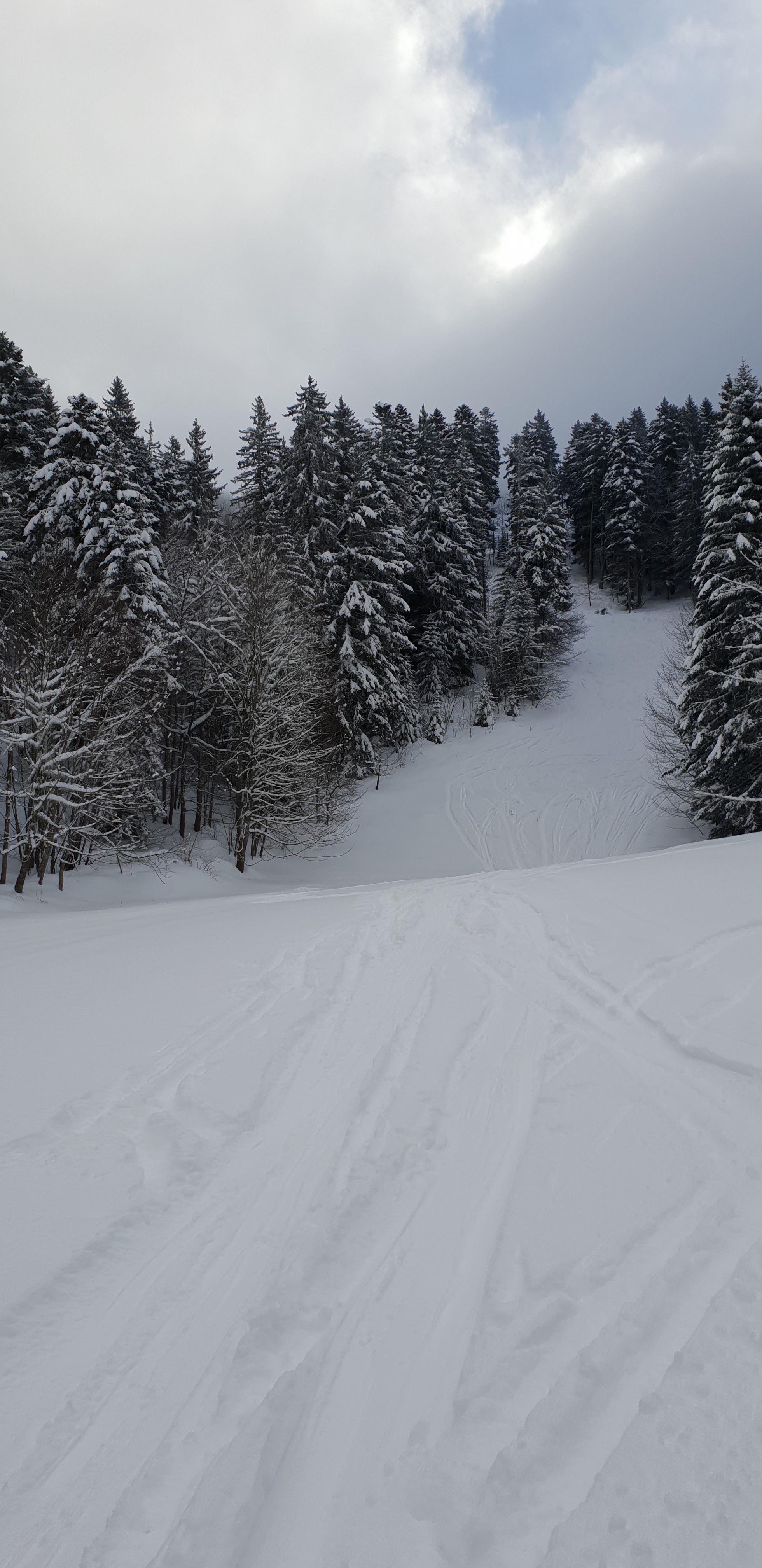 Photo n° 1 de l'avis de steve.a fait le 29/01/2019 à 13:45