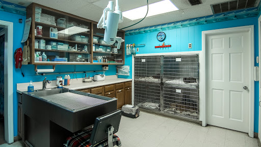 House Veterinary Clinic image