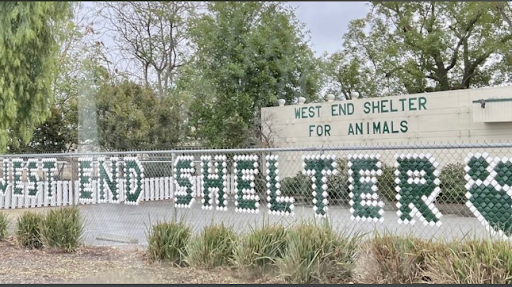 West End Shelter for Animals