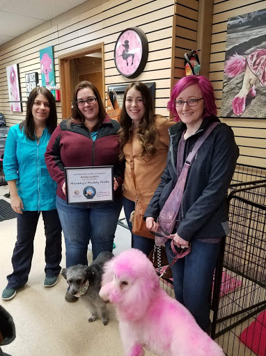 The Pink Poodle Grooming Salon LLC