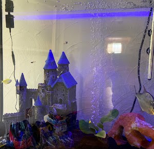 The Fish Reef - photo 9