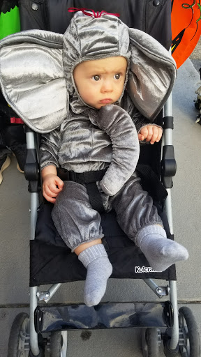 Bowling Alley «Paradise Lanes», reviews and photos, 469 E Blackstock Rd, Spartanburg, SC 29301, USA