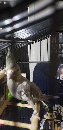 Pet Supply Store «Petco Animal Supplies», reviews and photos, 8909 Branch Ave d, Clinton, MD 20735, USA