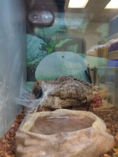 Pet Supply Store «Petsense Fort Worth», reviews and photos, 1408 Eastchase Pkwy #100, Fort Worth, TX 76120, USA