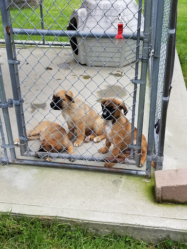 Sullivan County SPCA