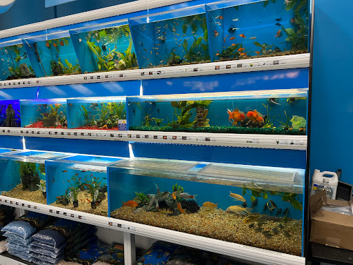 Pet Supply Store «Pet Supermarket», reviews and photos, 2449 S Hiawassee Rd, Orlando, FL 32835, USA