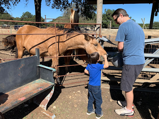 Pony Ride Service «The Farmyard», reviews and photos, 30250 Leroy Scheel Rd, Bulverde, TX 78163, USA