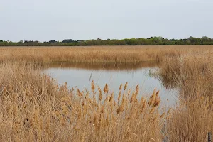 Réserve naturelle nationale de l'Estagnol image