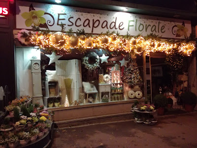 Escapade Florale Roncq à Roncq