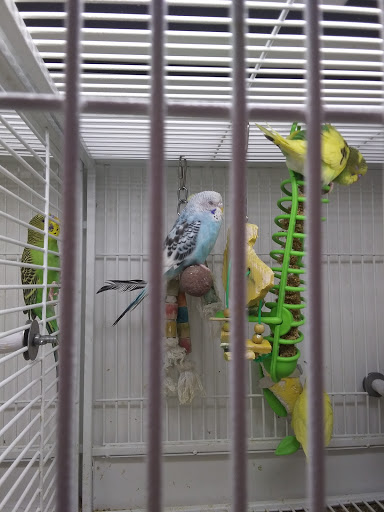 Pet Supply Store «Pet Supplies Plus», reviews and photos, 1411 S Stockton St, Lodi, CA 95240, USA