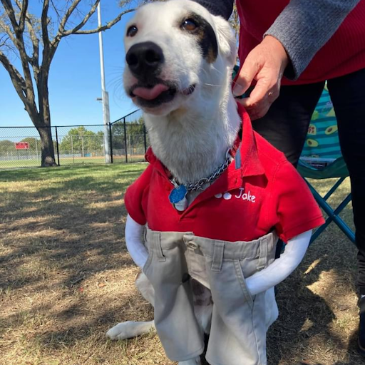 Auto Insurance Agency «Melanie Schelling - State Farm Insurance Agent», reviews and photos