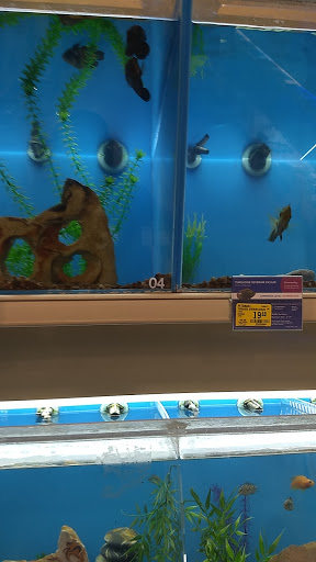 Pet Supply Store «PetSmart», reviews and photos, 15042 Summit Ave, Fontana, CA 92336, USA