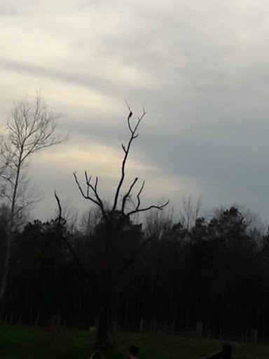 Winery «Saudé Creek Vineyards», reviews and photos, 16230 Cooks Mill Rd, Lanexa, VA 23089, USA