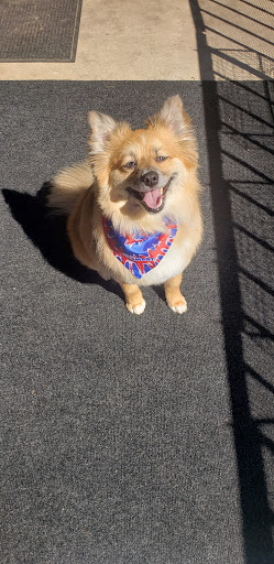 Pet Supply Store «PetSmart», reviews and photos, 8460 Tamarack Village, Woodbury, MN 55125, USA