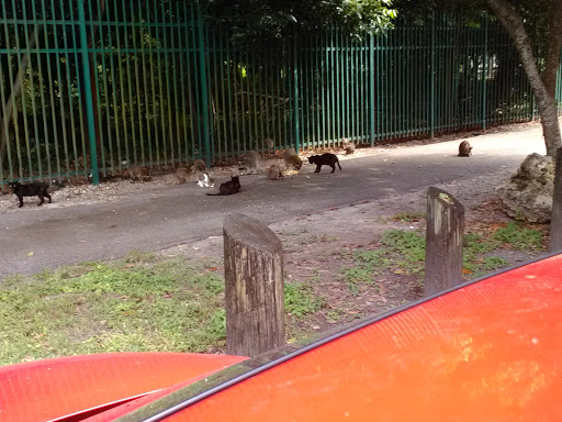 Park «Sewell Park», reviews and photos, 1801 NW S River Dr, Miami, FL 33125, USA