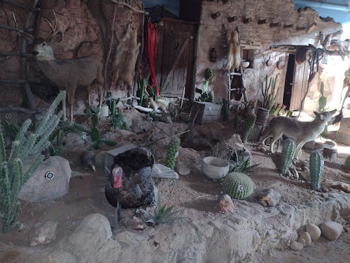 Sporting Goods Store «Bass Pro Shops», reviews and photos, 1133 N Dobson Rd, Mesa, AZ 85201, USA