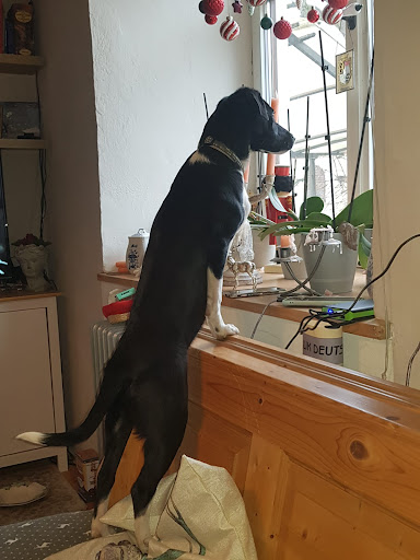 Nicole Forst unter Moosthenning, Bayern